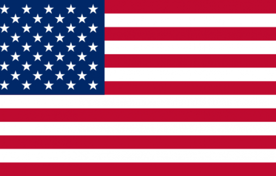 Dollar americain Flag
